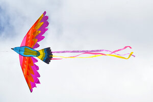 Воздушный змей Веселый ветер Яркая Иволга (фото modal nav 3)