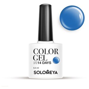 Гель-лак Solomeya Color Gel, 8.5 мл (фото modal nav 64)