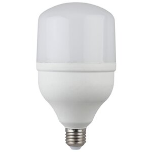 Лампа светодиодная ЭРА, LED smd POWER 40W-6500-E27 E27, T120, 40Вт, 6000К (фото modal nav 1)