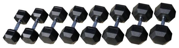 Набор гантелей неразборных Body Solid SDRK12.5-30 16 шт. (12.5-30 кг) (фото modal 1)