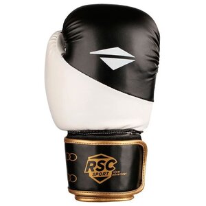 Боксерские перчатки RSC sport BF BX 012 (фото modal nav 1)
