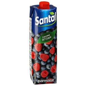 Напиток сокосодержащий Santal Лесные ягоды, с крышкой (фото modal nav 2)