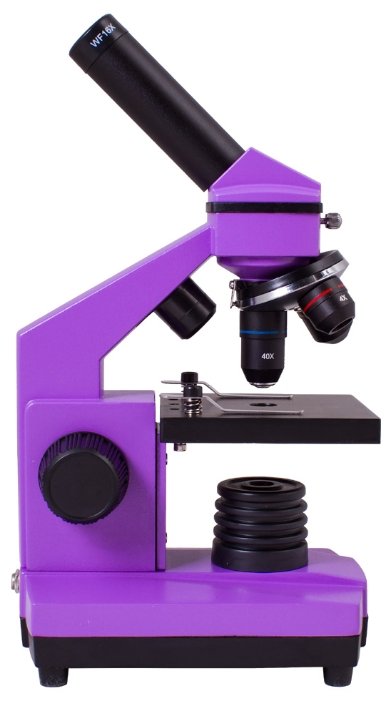 Микроскоп LEVENHUK Rainbow 2L PLUS (фото modal 27)