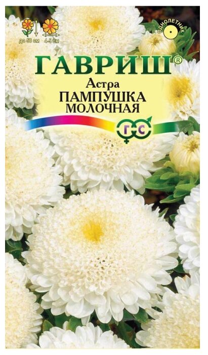 Семена Астра Пампушка молочная, помпонная 0,3 г Гавриш 0.3 г (фото modal 1)