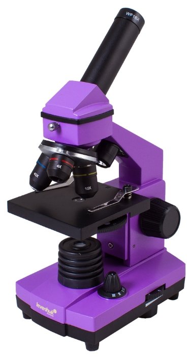 Микроскоп LEVENHUK Rainbow 2L PLUS (фото modal 23)