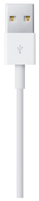Кабель Apple USB - Lightning (MD818ZM/A) 1 м (фото modal 3)