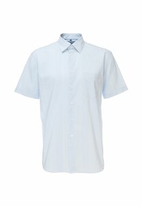 Рубашка GREG (фото modal nav 3)