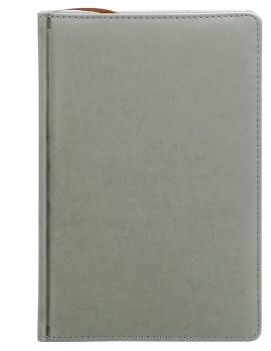 Ежедневник Index Avanti недатированный, искусственная кожа, А5, 168 листов (фото modal 12)