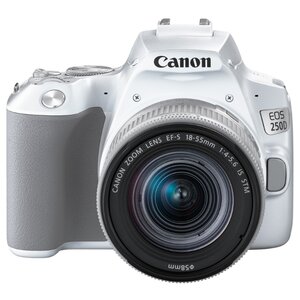 Фотоаппарат Canon EOS 250D Kit (фото modal nav 15)