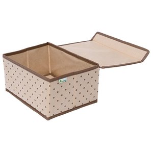 HOMSU Коробка для хранения вещей с крышкой (25х19х13 см) (фото modal nav 1)