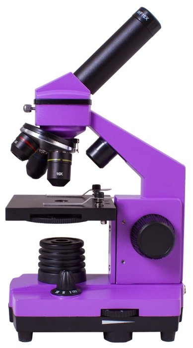 Микроскоп LEVENHUK Rainbow 2L PLUS (фото modal 25)