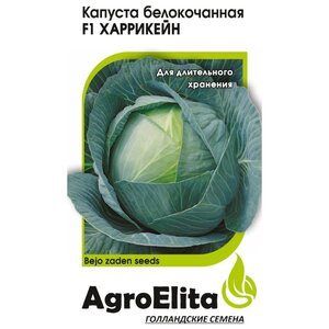 Семена AgroElita Капуста белокочанная Харрикейн F1 10 шт. Гавриш 10 шт. (фото modal nav 1)