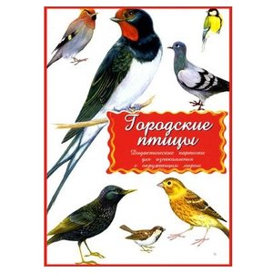 Набор карточек Маленький гений Городские птицы 21x15 см 16 шт. (фото modal nav 14)