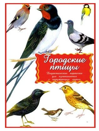 Набор карточек Маленький гений Городские птицы 21x15 см 16 шт. (фото modal 14)
