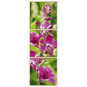 Schipper Картина по номерам «Веточка орхидеи» 120х40 см (9470739) (фото modal nav 1)
