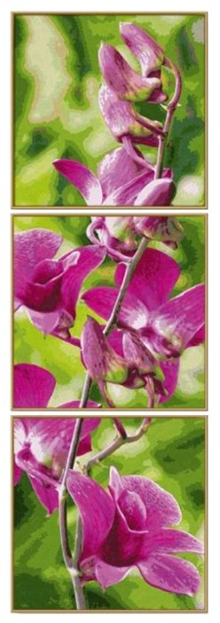 Schipper Картина по номерам «Веточка орхидеи» 120х40 см (9470739) (фото modal 1)
