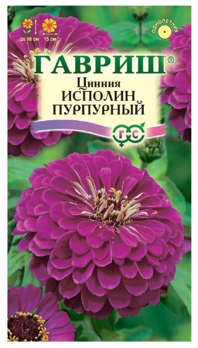 Семена Цинния Исполин пурпурный 0,3г Гавриш 0.3 г (фото modal 1)