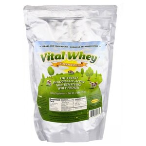 Протеин Well Wisdom Vital Whey (1.13 кг) (фото modal nav 1)