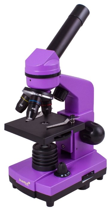 Микроскоп LEVENHUK Rainbow 2L (фото modal 22)
