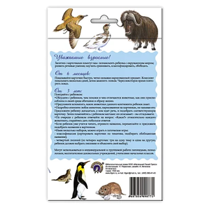 Набор карточек Маленький гений Животные Арктики и Антарктики (фото modal nav 3)