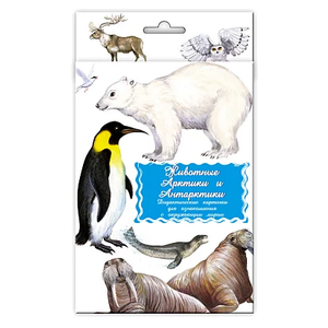 Набор карточек Маленький гений Животные Арктики и Антарктики (фото modal nav 2)