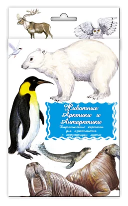 Набор карточек Маленький гений Животные Арктики и Антарктики (фото modal 2)