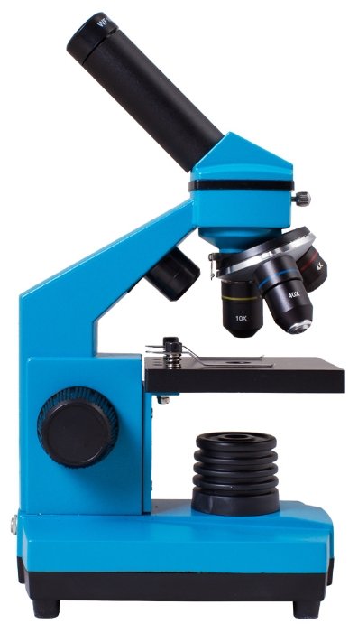 Микроскоп LEVENHUK Rainbow 2L PLUS (фото modal 16)