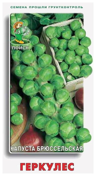 Семена Капуста брюссельская Геркулес 0.5 г ПОИСК 0.5 г (фото modal 1)