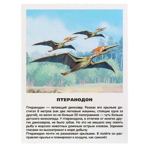 Набор карточек Умка Динозавры 21.8x16.7 см 16 шт. (фото modal nav 4)