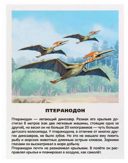 Набор карточек Умка Динозавры 21.8x16.7 см 16 шт. (фото modal 4)