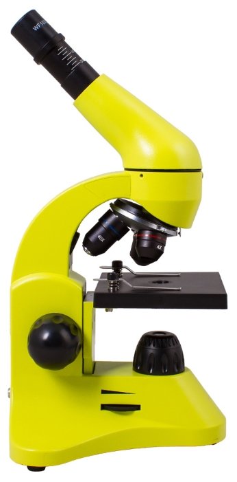 Микроскоп LEVENHUK Rainbow 50L (фото modal 17)