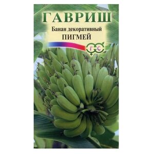 Семена Банан декоративный Пигмей 3 шт. Гавриш 3 шт. (фото modal nav 1)
