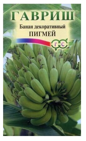 Семена Банан декоративный Пигмей 3 шт. Гавриш 3 шт. (фото modal 1)