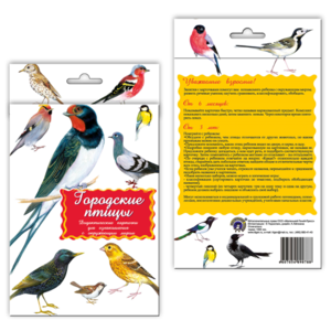 Набор карточек Маленький гений Городские птицы 21x15 см 16 шт. (фото modal nav 11)