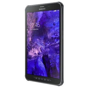 Планшет Samsung Galaxy Tab Active 8.0 SM-T365 16GB (фото modal nav 3)