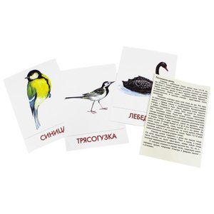 Набор карточек Маленький гений Городские птицы 21x15 см 16 шт. (фото modal nav 4)