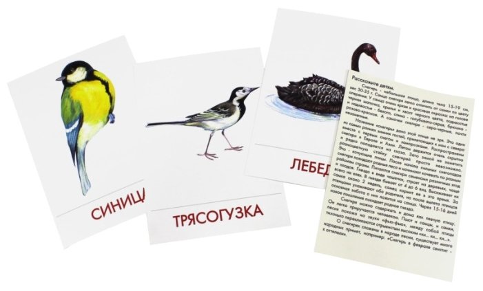 Набор карточек Маленький гений Городские птицы 21x15 см 16 шт. (фото modal 4)