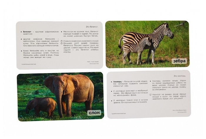 Набор карточек Умница Мир на ладошке. Удивительные животные 18x10.2 см 24 шт. (фото modal 4)