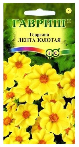 Семена Георгина Лента золотая 0,2 г Гавриш 0.2 г (фото modal 1)