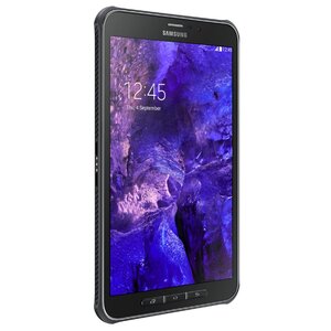 Планшет Samsung Galaxy Tab Active 8.0 SM-T360 16GB (фото modal nav 4)
