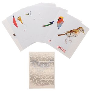 Набор карточек Маленький гений Городские птицы 21x15 см 16 шт. (фото modal nav 2)