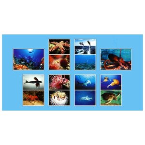 Набор карточек Мозаика-Синтез ФГОС Мир в картинках. Морские обитатели 29.5x20.5 см 8 шт. (фото modal nav 2)