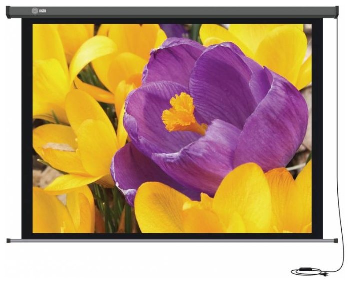Рулонный матовый белый экран cactus Professional Motoscreen CS-PSPM-168x299 (фото modal 1)