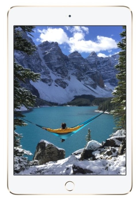 Планшет Apple iPad mini 4 16Gb Wi-Fi + Cellular (фото modal 4)