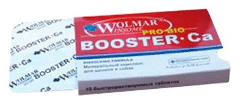 Витамины Wolmar Winsome Pro Bio Booster Ca для щенков средних и крупных пород, (фото modal 1)