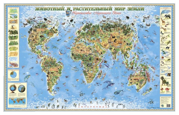 Маленький гений Карта Животный и растительный мир Земли (фото modal 1)