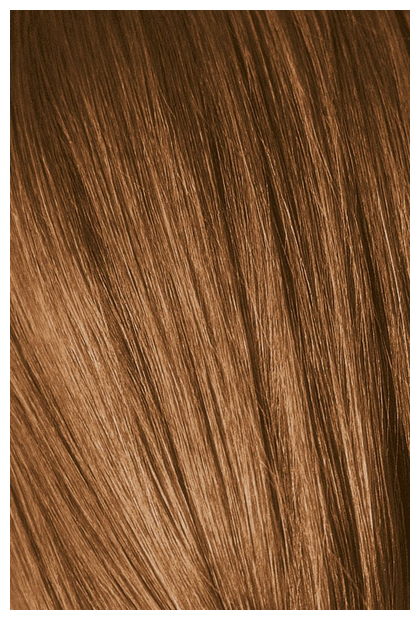 Schwarzkopf Professional Igora Royal краситель для волос Absolutes, 60 мл (фото modal 4)