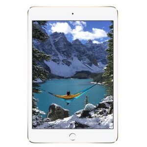 Планшет Apple iPad mini 4 64Gb Wi-Fi + Cellular (фото modal nav 4)