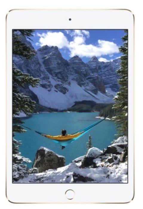 Планшет Apple iPad mini 4 64Gb Wi-Fi + Cellular (фото modal 4)