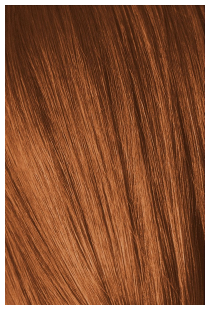 Schwarzkopf Professional Igora Royal краситель для волос Absolutes, 60 мл (фото modal 8)